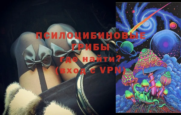 первитин Богданович