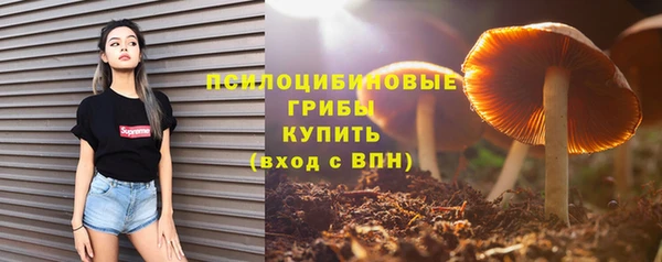 наркотики Богородск