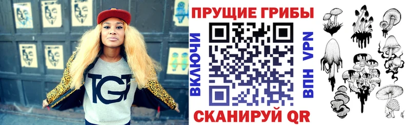 Купить закладки  Гудермес  Псилоцибиновые грибы Psilocybine cubensis 